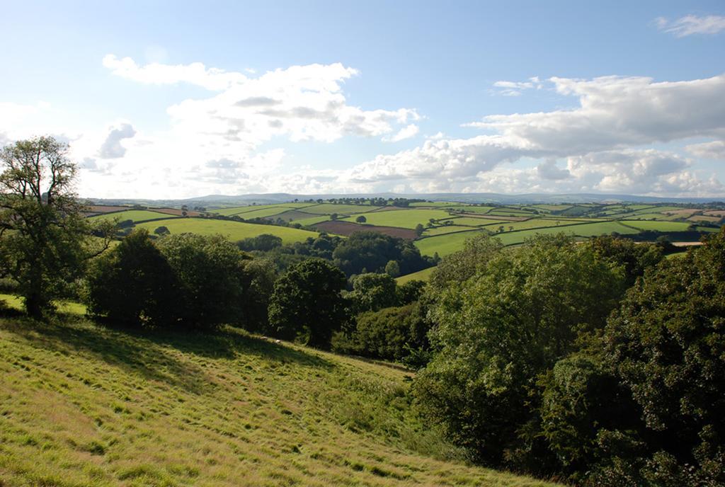Kerswell Farmhouse Totnes Eksteriør bilde